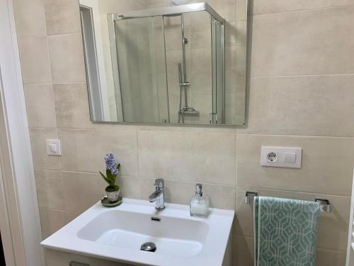 Un baño con un lavabo blanco y un espejo. en Puerta 10, en El Astillero