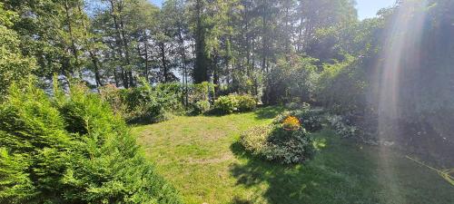 an aerial view of a garden with plants and trees at Domek rustykalny z sauną nad samym jeziorem in Leleszki