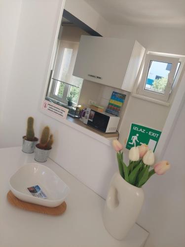 a kitchen with a white vase with flowers in it at Petra Rooms and Apartments in Rab