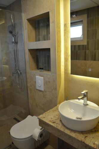 a bathroom with a sink and a toilet and a shower at Villa Planta in Ohrid