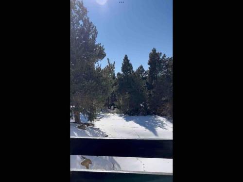 - une vue sur un champ enneigé avec des arbres dans l'établissement FONT-ROMEU T2 cabine calme et cosy, à Font-Romeu-Odeillo-Via