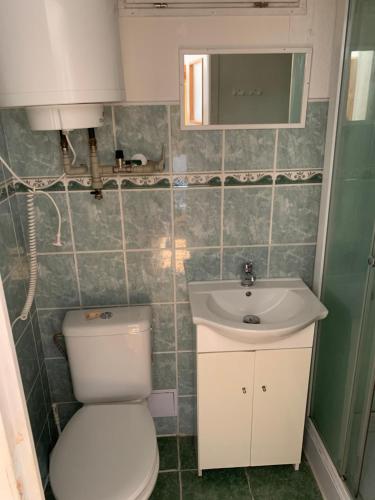 a small bathroom with a toilet and a sink at Chaty Dobrá Voda 86 in Horní Planá