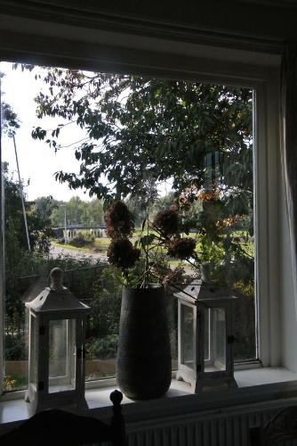 Сад в Appartement Voorhuis en chalet Klein Waterland