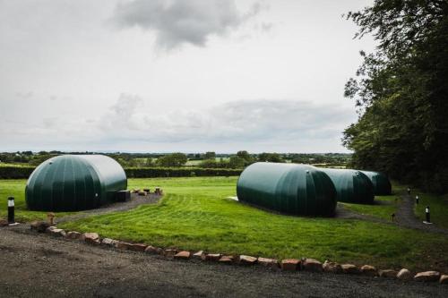 a group of domes in a grassy field at Thornfield Farm Luxury Glamping Pods, The Dark Hedges, Ballycastle in Stranocum