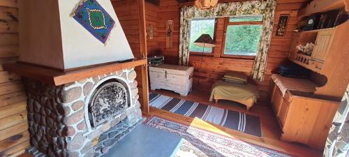 an overhead view of a room with a fireplace in a log cabin at Domek rustykalny z sauną nad samym jeziorem in Leleszki