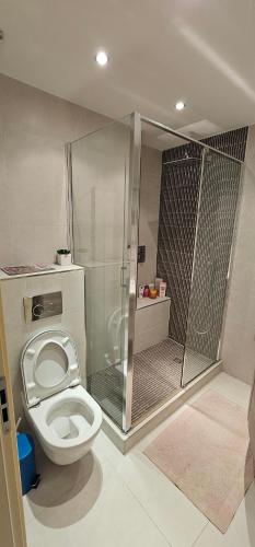 une salle de bain avec toilettes et cabine de douche dans l'établissement bella d'azur, à Nice