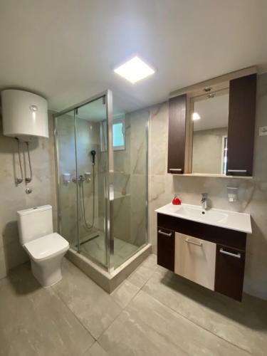 y baño con ducha, aseo y lavamanos. en Dunavska lepotica 2, en Belgrado