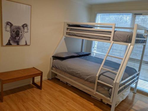 a bedroom with a bunk bed with a dog on the wall at beach house in Venus Bay