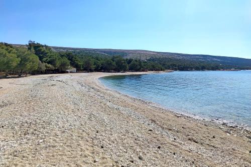 a beach with a rocky shore with trees and water at Apartments with parking space Simuni, Pag - 19861 in Kolan