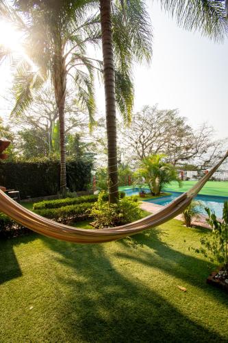 a hammock in a resort yard with palm trees at Hostal Doña Emma in Pahuatlán del Valle