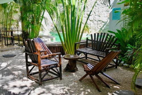 Fotografie z fotogalerie ubytování Pacha Tulum Boutique Hotel v destinaci Tulum
