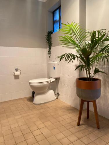 uma casa de banho com um WC e um vaso de plantas em Darcy’s Ranch em Bathurst
