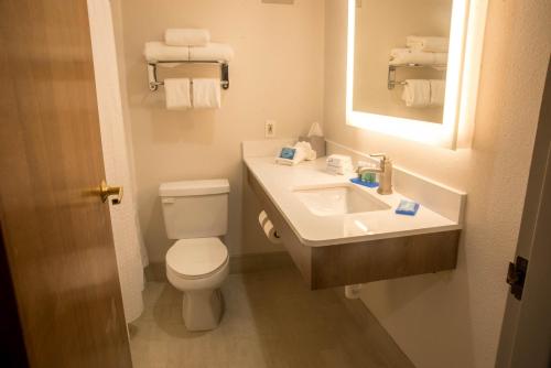 Holiday Inn Express Easton, an IHG Hotel في إيستون: حمام به مرحاض أبيض ومغسلة