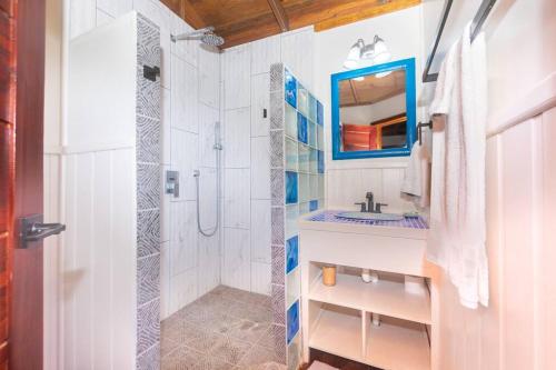 a bathroom with a shower and a sink and a mirror at Apricari Villa / Luxury Views / 5 BDRM / Pool in Roatan