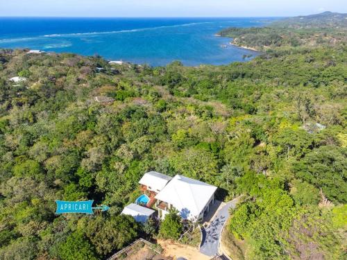 an aerial view of a house in the forest at Apricari Villa / Luxury Views / 5 BDRM / Pool in Roatan