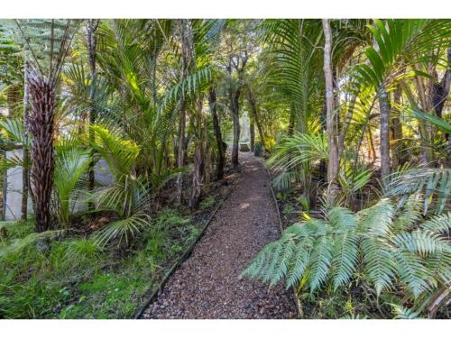 a path in the middle of a forest of palm trees at Bellbird Paradise- Waiheke Escapes in Onetangi