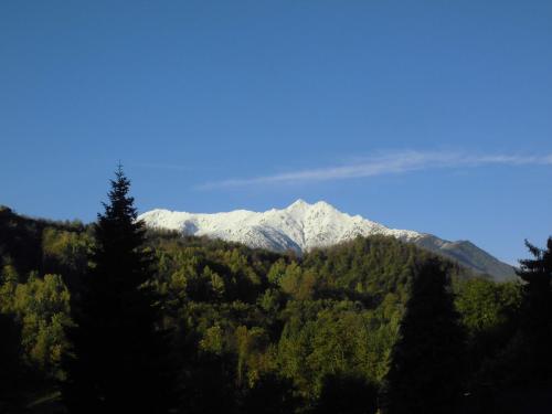 a snow covered mountain in the distance with trees at Agriturismo Bio-Ecologico Sant'Isidoro in Roccaforte Mondovì