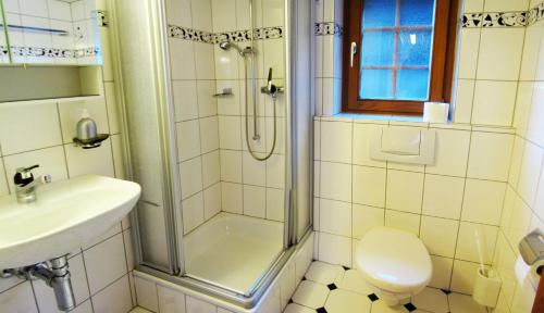 a bathroom with a shower and a toilet and a sink at Chalet Heimeli in Saas-Fee