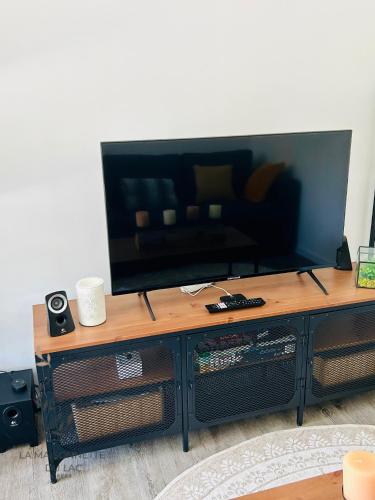 un téléviseur à écran plat posé sur une table dans l'établissement Maison avec accès au lac, à Izon