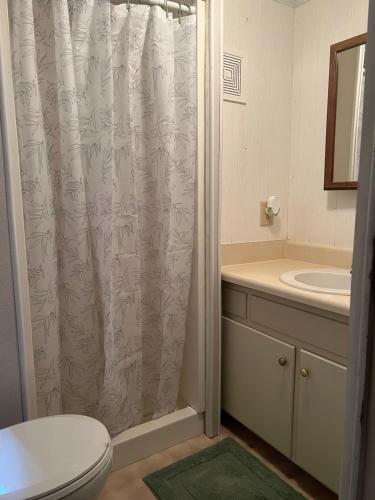 ein Badezimmer mit Dusche, Toilette und Waschbecken in der Unterkunft Bailey wick farm Jackson river retreat in Covington