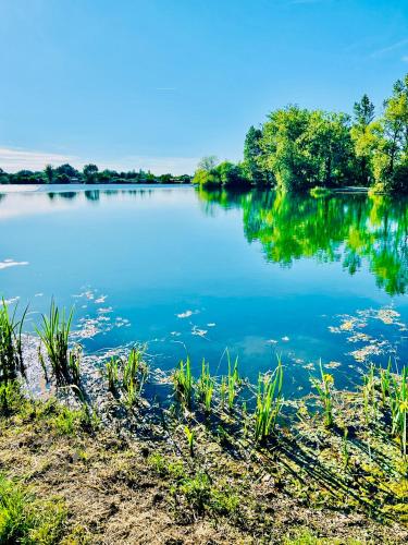 a view of a lake with trees in the background at Maison avec accès au lac in Izon