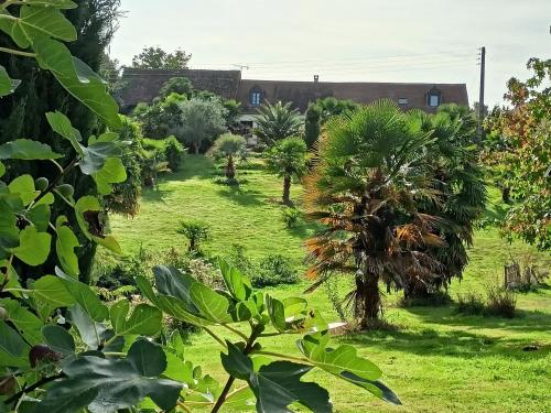 a garden with palm trees and a building in the background at Chambres d hôtes entrée+sanitaires indépendantes in Thorigné-sur-Dué