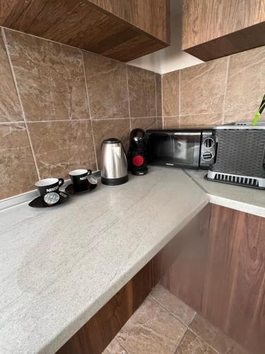una encimera de cocina con 2 tazas de café y microondas en Villa Julia en Nea Michaniona