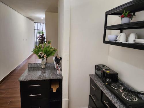 a kitchen with a counter top and a stove at GYWEL1214 3 in San Salvador