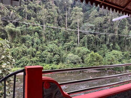 a view from a train looking out at a forest at Ridho's Homestay & Jungle Trekking in Bukit Lawang
