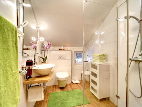 a bathroom with a sink and a toilet and a shower at Kirchberger Comfortable holiday residence in Bodenmais