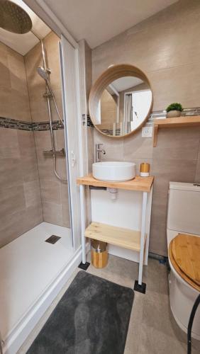 a bathroom with a sink and a mirror and a shower at Maison rénovée, Agen centre in Agen