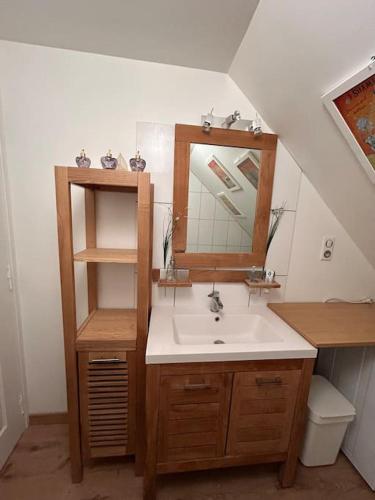 une salle de bain avec un lavabo et un miroir dans l'établissement T4 cosy style montagnard 6/8pers, à Fournels