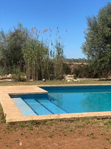 uma piscina num quintal com um deque de madeira em Studio Doppelzimmer 2 Pers mit Terrasse und Pool auf Finca Mallorca em Santanyí