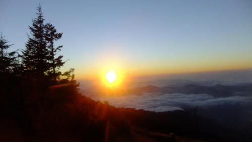 a sunset with a tree on top of a mountain at KONAKLAR APART in Çamlıhemşin