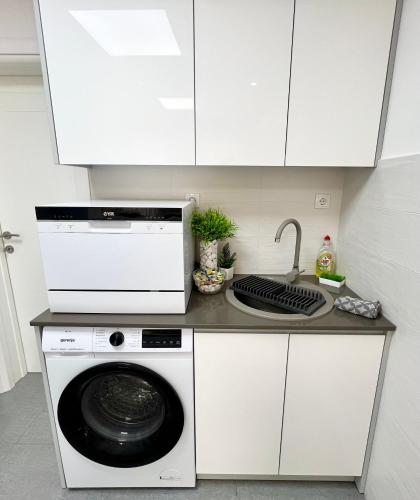 a kitchen with a washing machine and a sink at BeoCity 011 in Novi Beograd