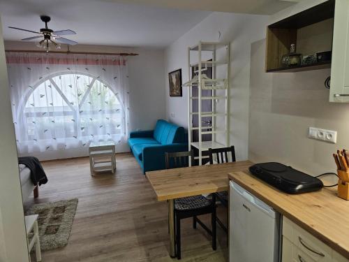Η κουζίνα ή μικρή κουζίνα στο Penzion u Studánky