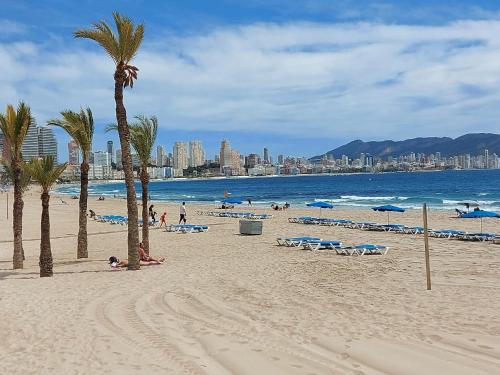 a beach with palm trees and people on the beach at Benidorm playa poniente in Benidorm