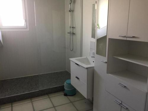 uma casa de banho branca com um lavatório e um chuveiro em B & B Florence et Francis em Cuxac-dʼAude