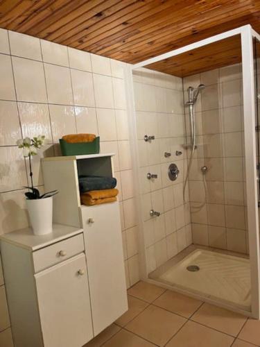 une salle de bain avec douche et lavabo dans l'établissement Gîte Ardéchois avec piscine et vue imprenable, à Saint-Jean-de-Muzols