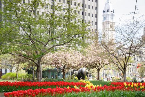 a park with red and yellow flowers and trees at Loews Philadelphia Hotel in Philadelphia