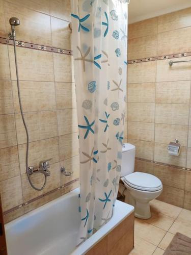 La salle de bains est pourvue de toilettes et d'un rideau de douche. dans l'établissement Ives Studio Aridaia, à Aridaía
