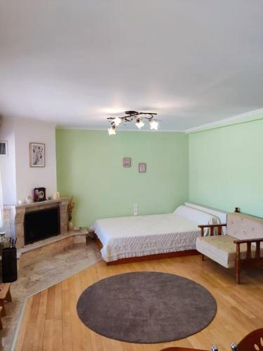 - une chambre avec un lit, un canapé et une cheminée dans l'établissement Ives Studio Aridaia, à Aridaía