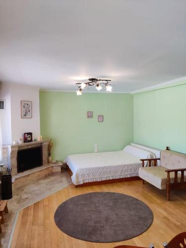 a bedroom with a bed and a couch and a fireplace at Ives Studio Aridaia in Aridaia