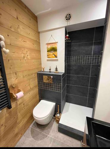 une salle de bain avec toilettes et douche dans l'établissement Trés jolie duplex à Ancelle, à Ancelle