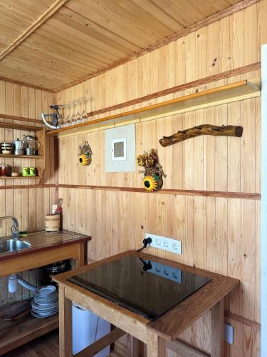 a kitchen with wooden walls and a stove top oven at Прикарпаття in Kosiv