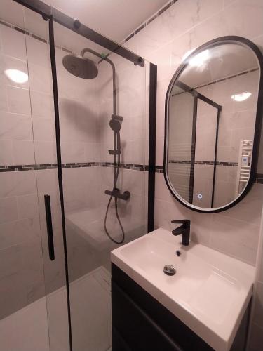 une salle de bain avec une douche, un lavabo et un miroir dans l'établissement Location à la Trinité-sur-Mer pour 1 à 4 personnes, à La Trinité-sur-Mer