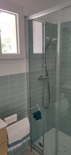une salle de bain avec une douche avec une porte vitrée dans l'établissement La petite maison, mer et colline, à Carqueiranne
