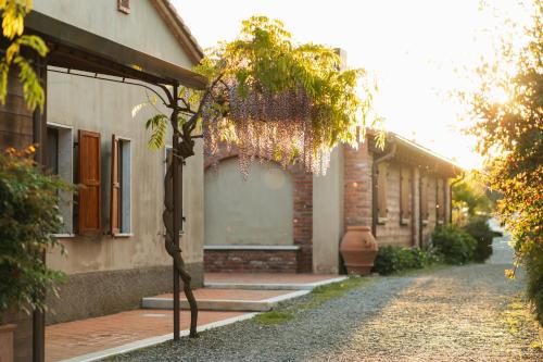 a small tree in front of a building at Agriturismo La Burlanda in Fosdinovo