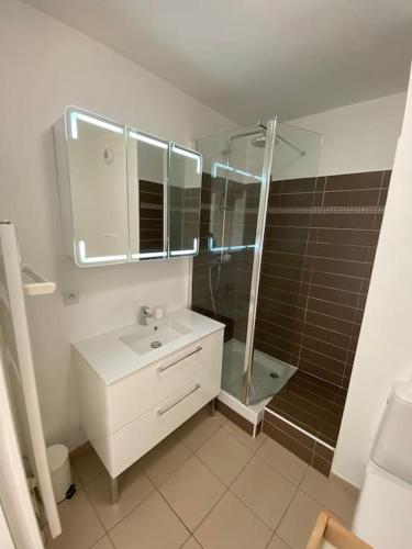 une salle de bain avec une douche, un lavabo et un miroir dans l'établissement La Terrasse Parisienne - Vue Tour Eiffel, à Vitry-sur-Seine