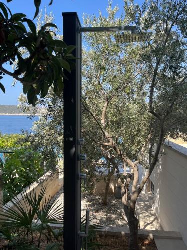 a door to a garden with a tree outside at Villa Ella in Sevid
